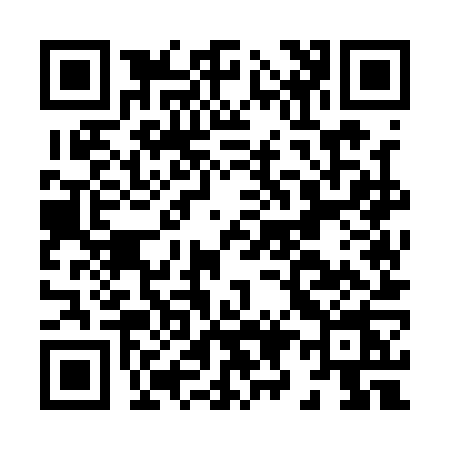QR code for H951