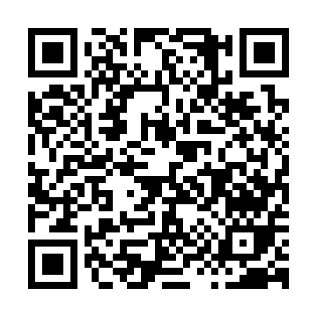 QR code for H9535