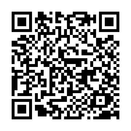 QR code for H955
