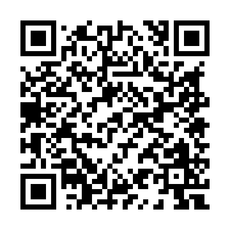 QR code for H9581