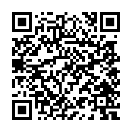 QR code for H9704