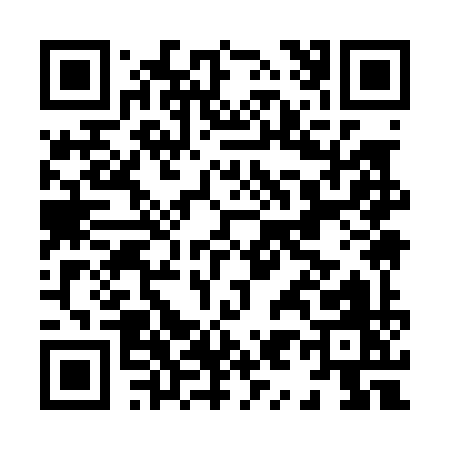 QR code for H9909