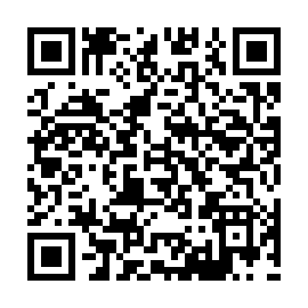 QR code for H9938