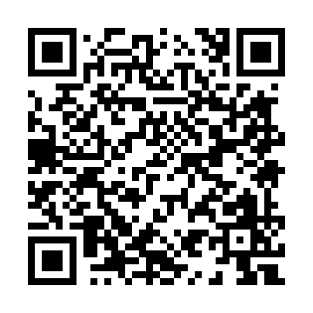 QR code for H9949
