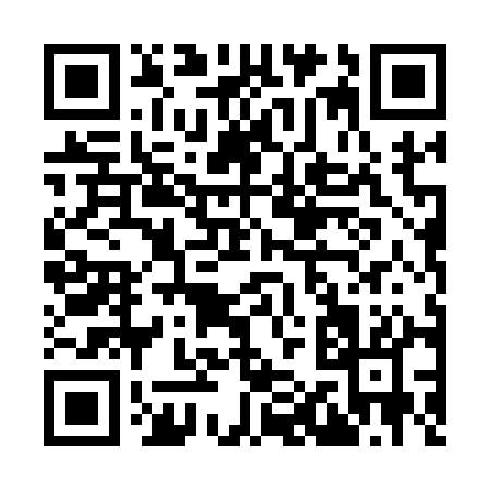 QR code for I1411