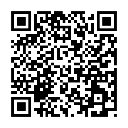 QR code for I4299