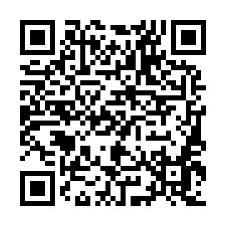 QR code for I9595