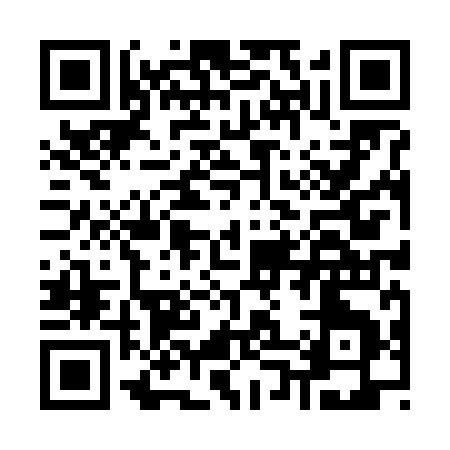 QR code for K0869