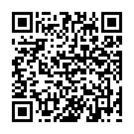 QR code for K493