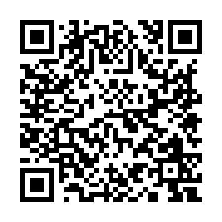 QR code for K9593