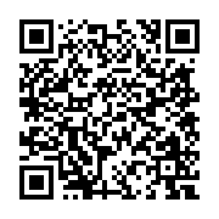 QR code for L0241
