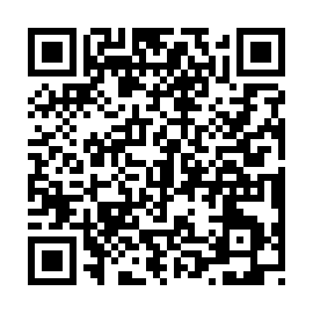 QR code for L0313