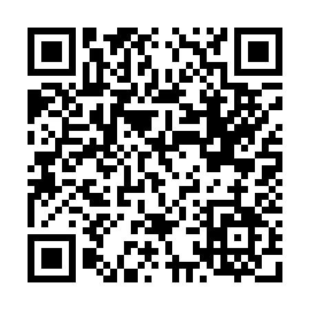 QR code for L1313