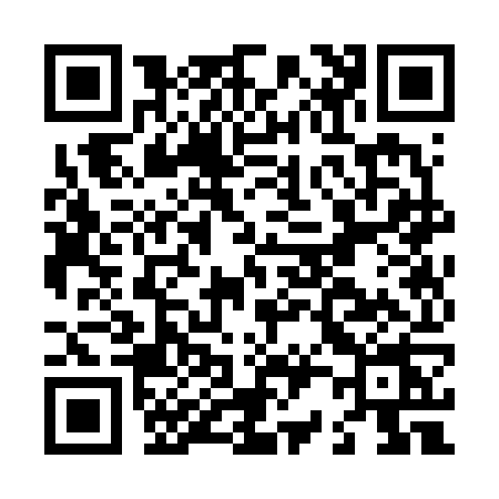 QR code for L236