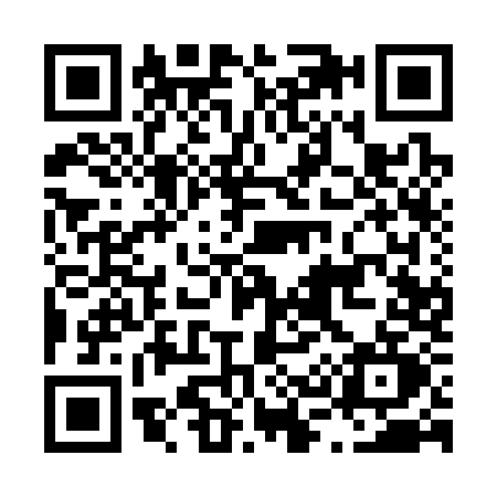 QR code for L313