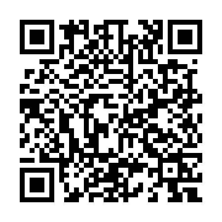 QR code for L335