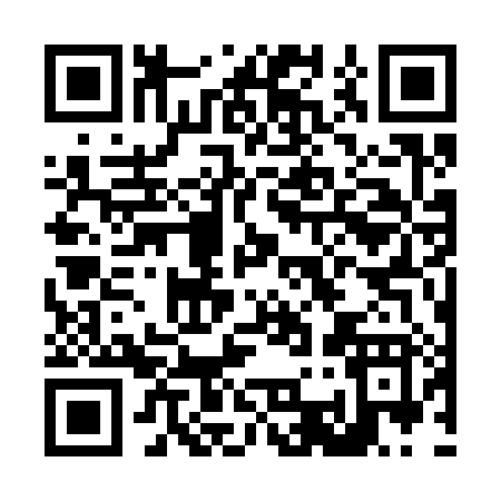 QR code for L3738