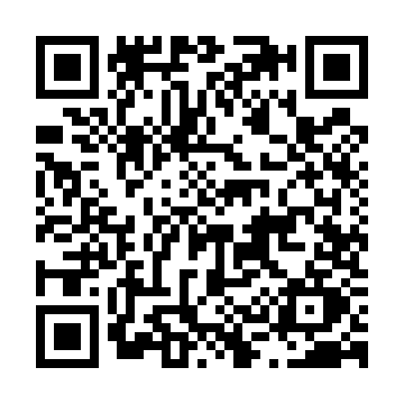 QR code for L395