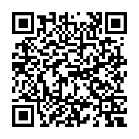 QR code for L397