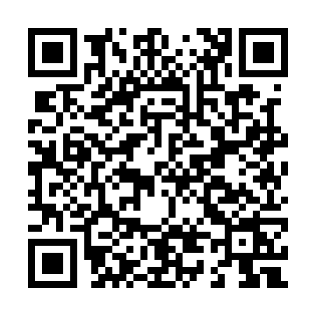 QR code for L411