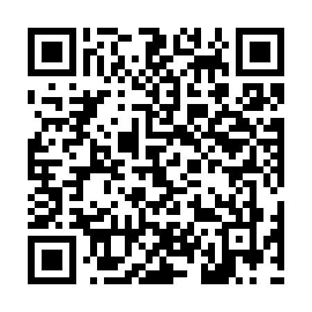 QR code for L493
