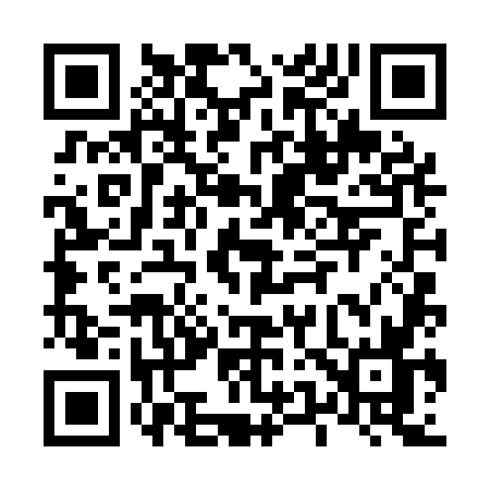 QR code for L541