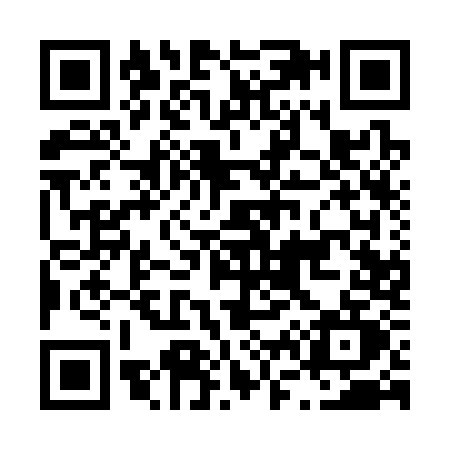 QR code for L613