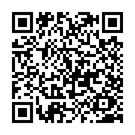 QR code for L617