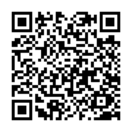 QR code for L646