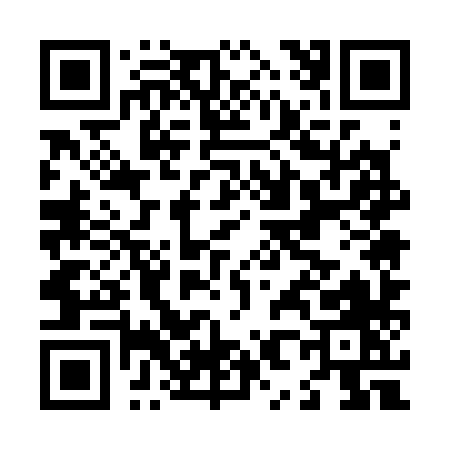 QR code for L8538
