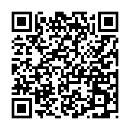 QR code for L8668