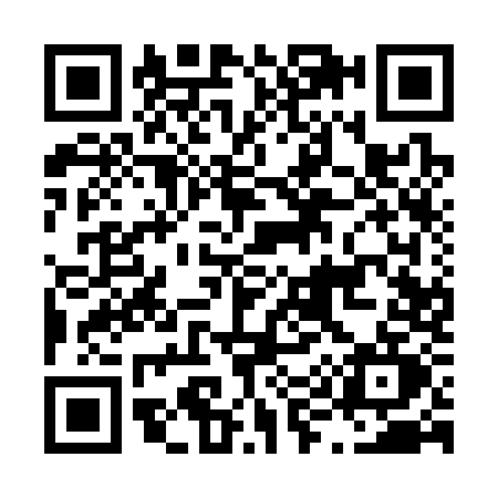 QR code for L913