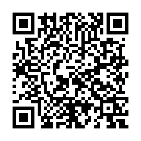 QR code for L995