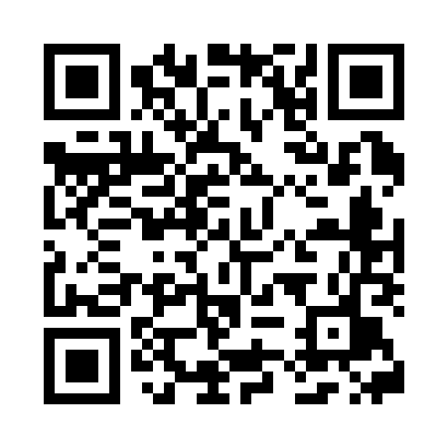 QR code for M63