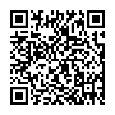 QR code for N0739