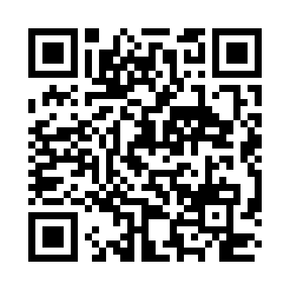 QR code for N29