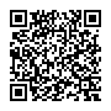 QR code for N311
