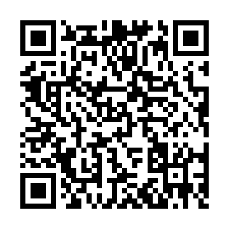 QR code for N3171