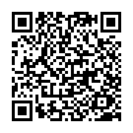 QR code for N318
