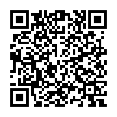 QR code for N333