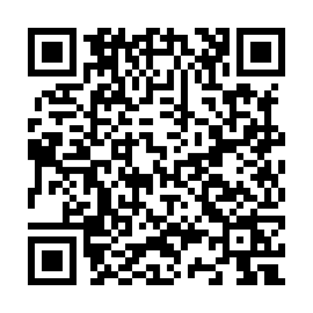 QR code for N338