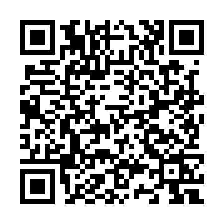 QR code for N381