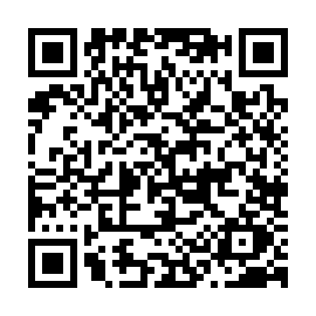 QR code for N383