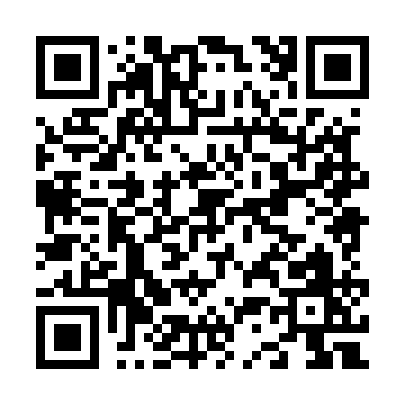 QR code for N3851