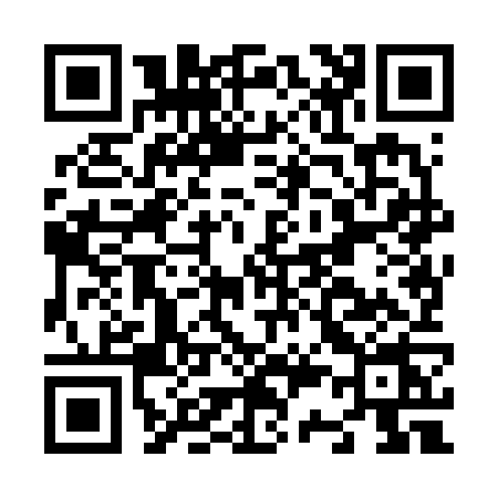 QR code for N386