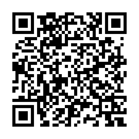 QR code for N393