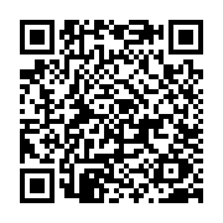 QR code for N463