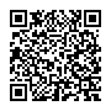 QR code for N466