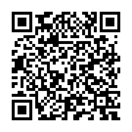 QR code for N493