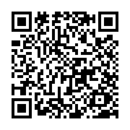QR code for N595